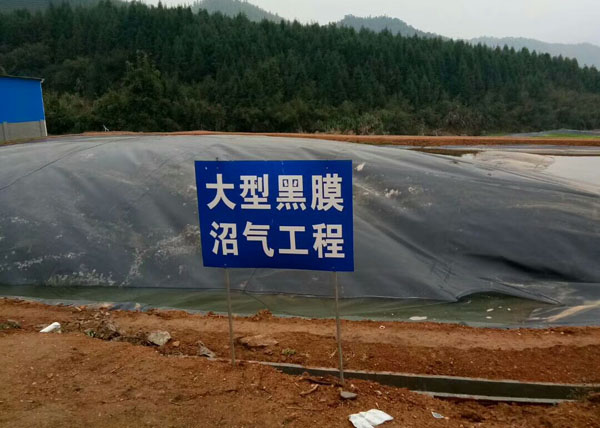 沼氣池茄子视频在线观看免费视频